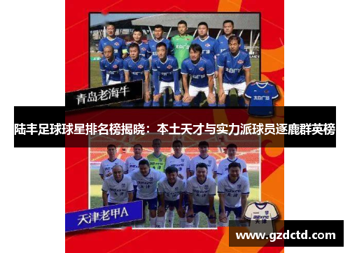 陆丰足球球星排名榜揭晓：本土天才与实力派球员逐鹿群英榜